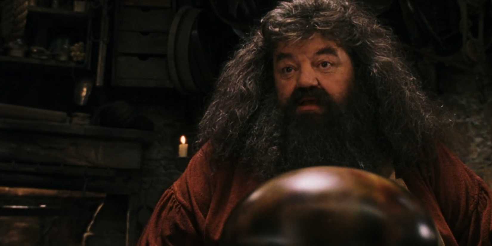 Hagrid tries to hatch a dragon egg in Harry Potter and the Sorcerer's Stone.