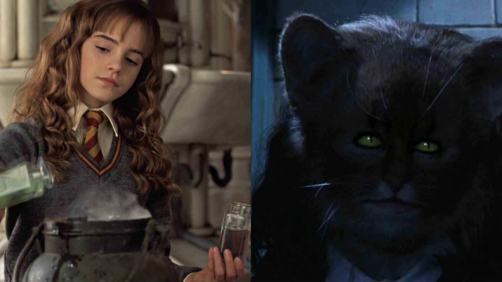 Split image of Hermione brewing the Polyjuice Potion and her transformation as half-human, half-cat in Harry Potter and the Chamber of Secrets.