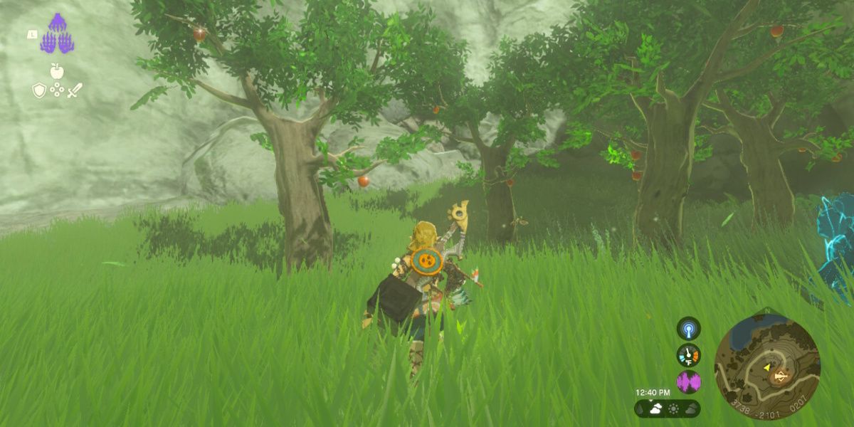 Link runs towards apple trees in Tears of the Kingdom