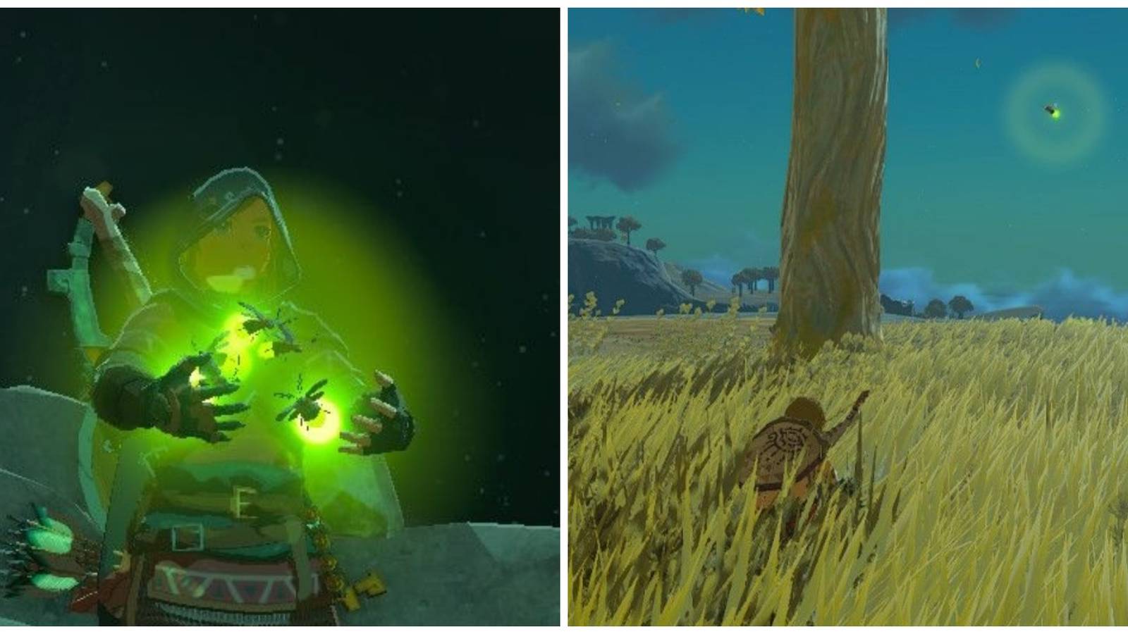link holding sunset fireflies sunset firefly in the wild