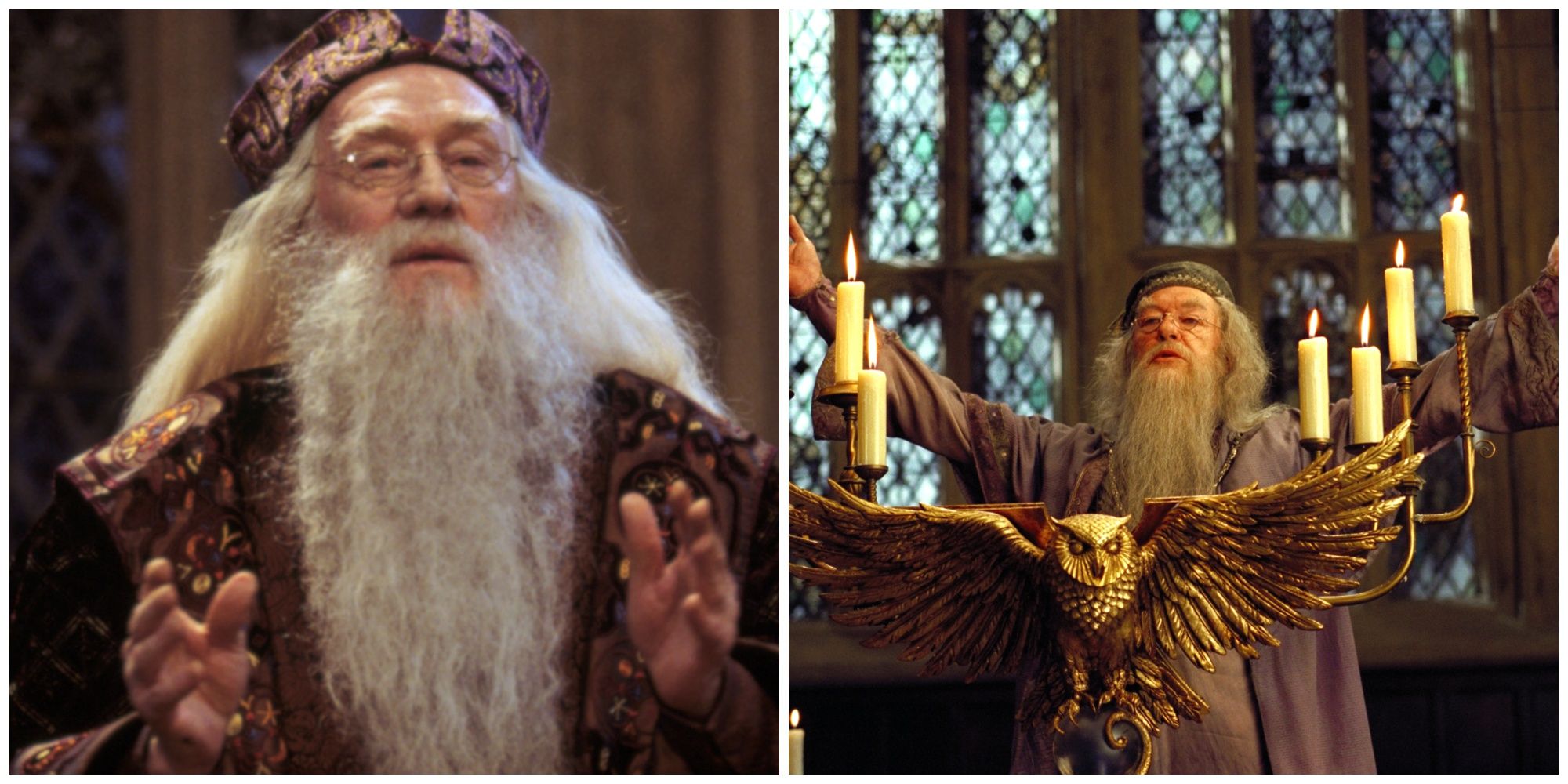 Richard Harris as Albus Dumbledore. Michael Gambon as Albus Dumbledore