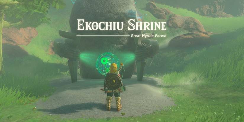Link reaches the Ekochiu Shrine in Tears of the Kingdom