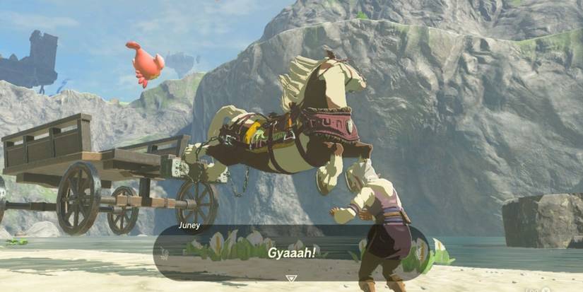 startling juney's horse in tokt