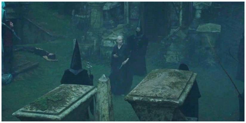 Ralph Fiennes as Lord Voldemort