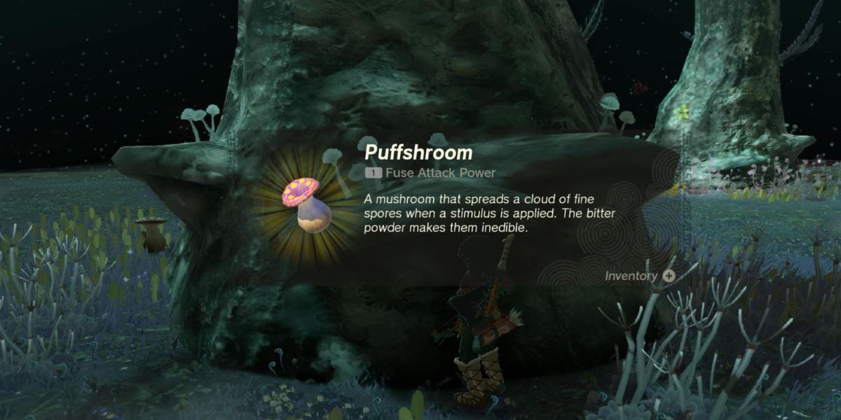 Link collects a Puffshroom in Tears of the Kingdom