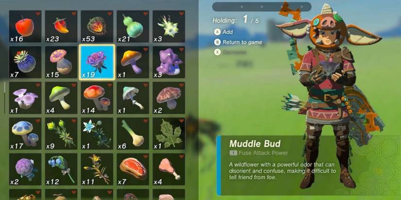 Link holds a Muddle Bud in Tears of the Kingdom