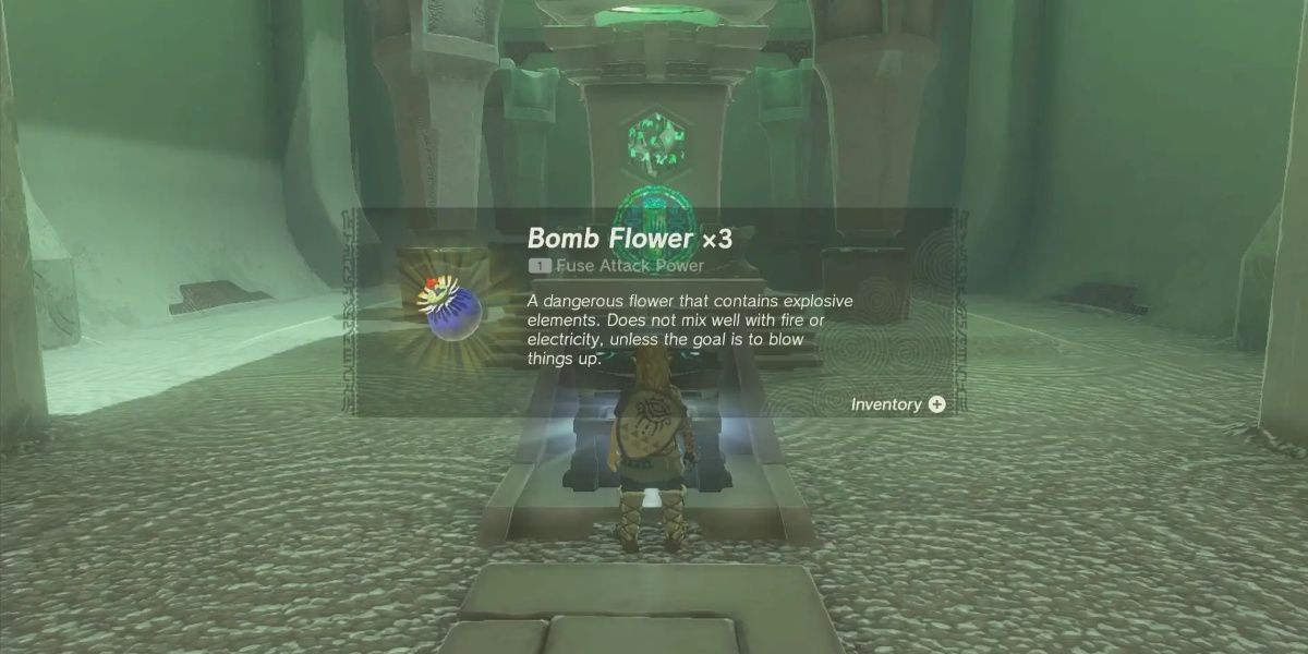 Link collects Bomb Flowers in Tears of the Kingdom