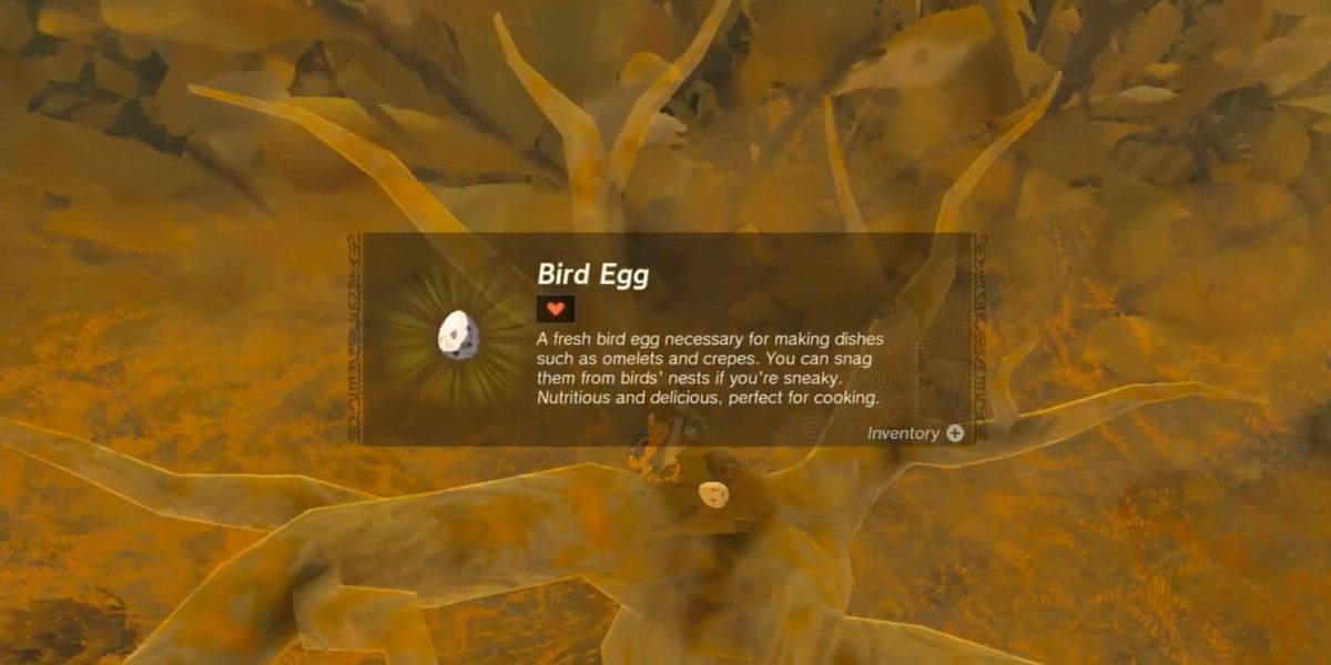 Link collects a Bird Egg in Tears of the Kingdom