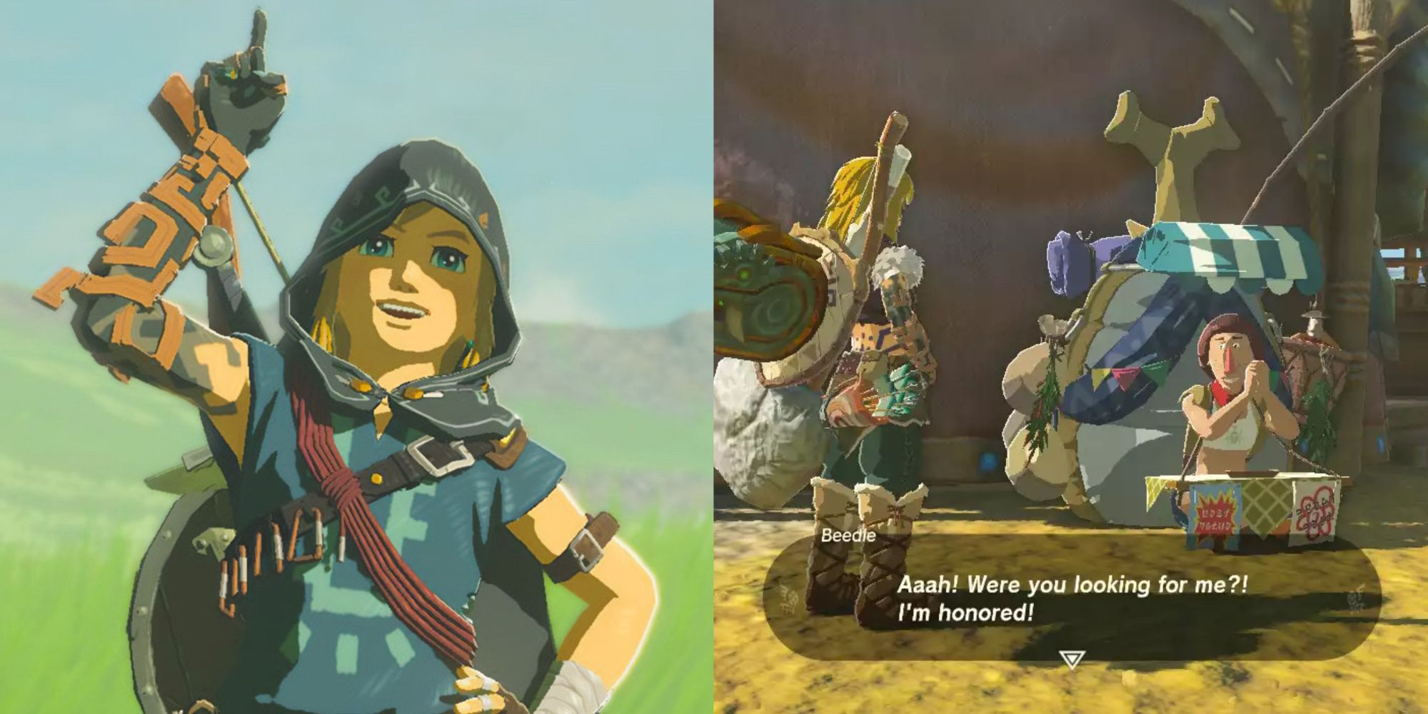 Link posing, and speaking to Beedle in Tears of the Kingdom