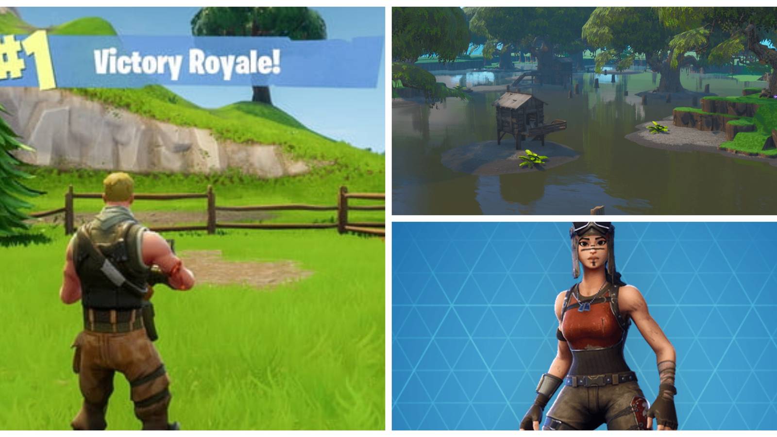 fortnite victory royale, moisty mires, renegade raider rare fortnite skin