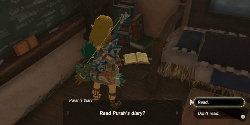 link examining purah's diary in hateno village