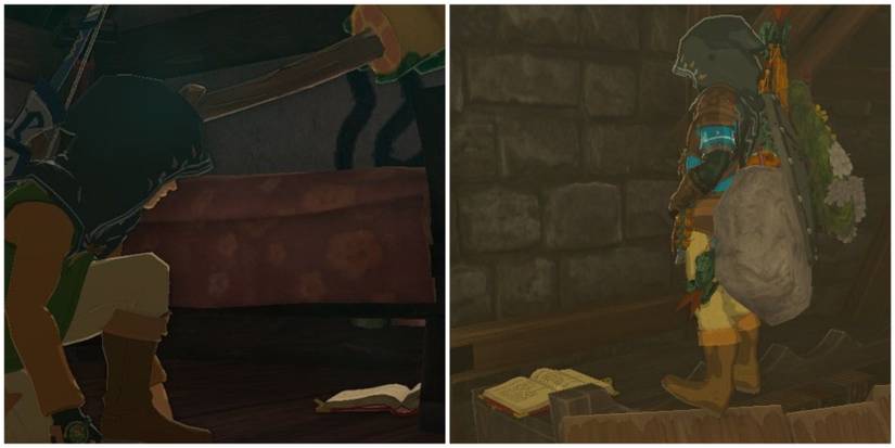 various purah diary locations, kakariko village and akkala ancient tech lab