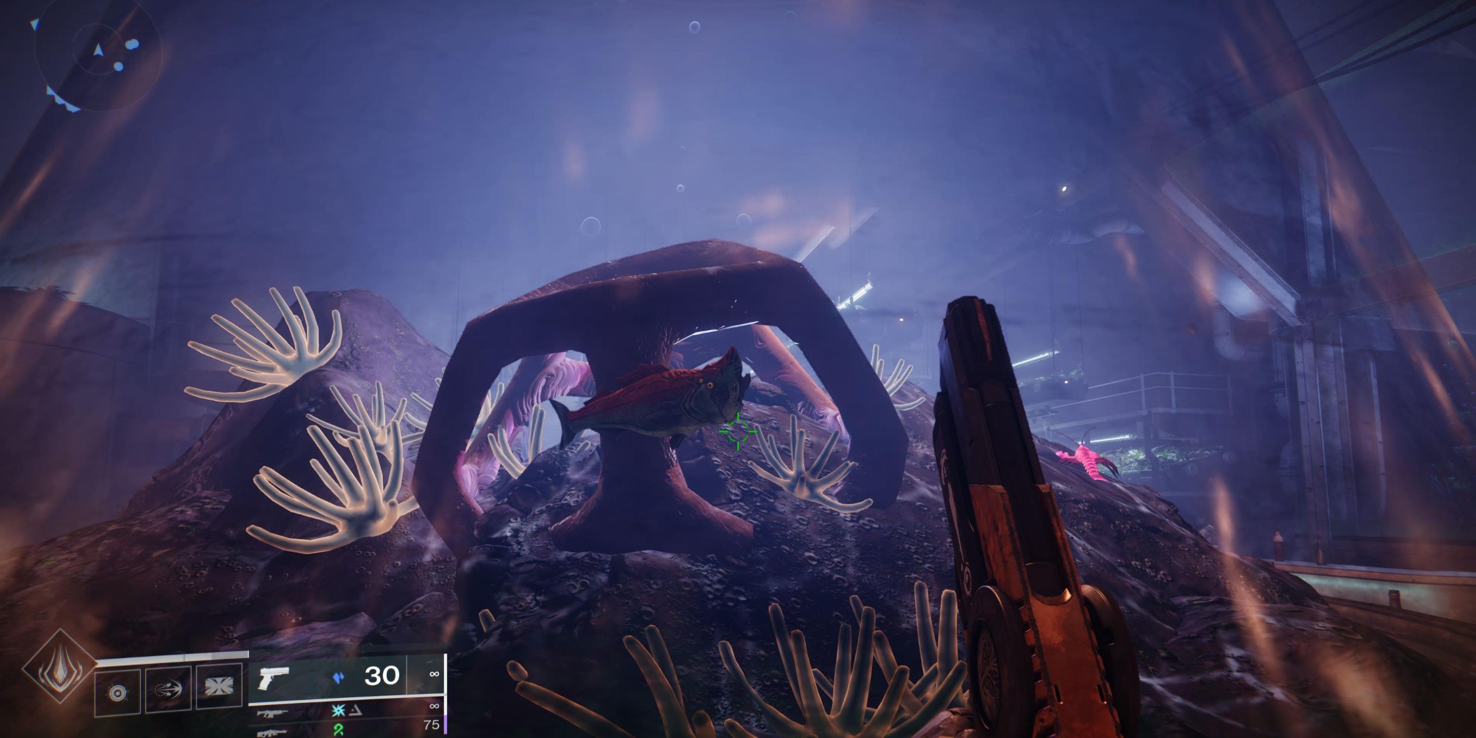 Destiny 2: All Exotic And Legendary Fish