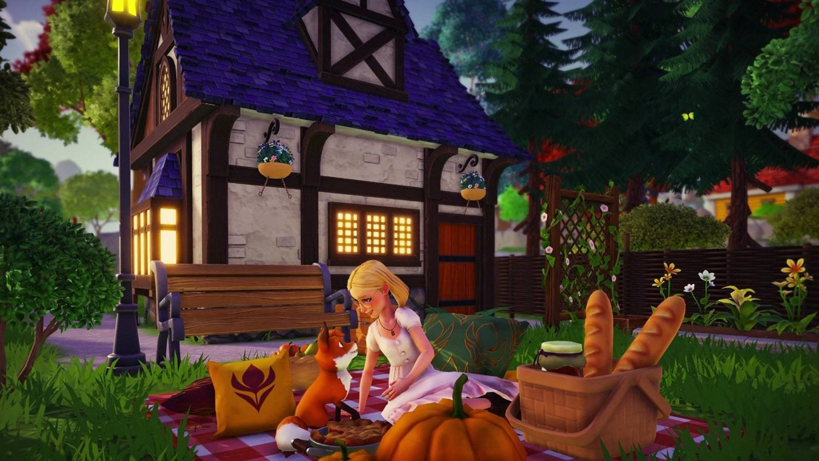 ddlv player outside their home