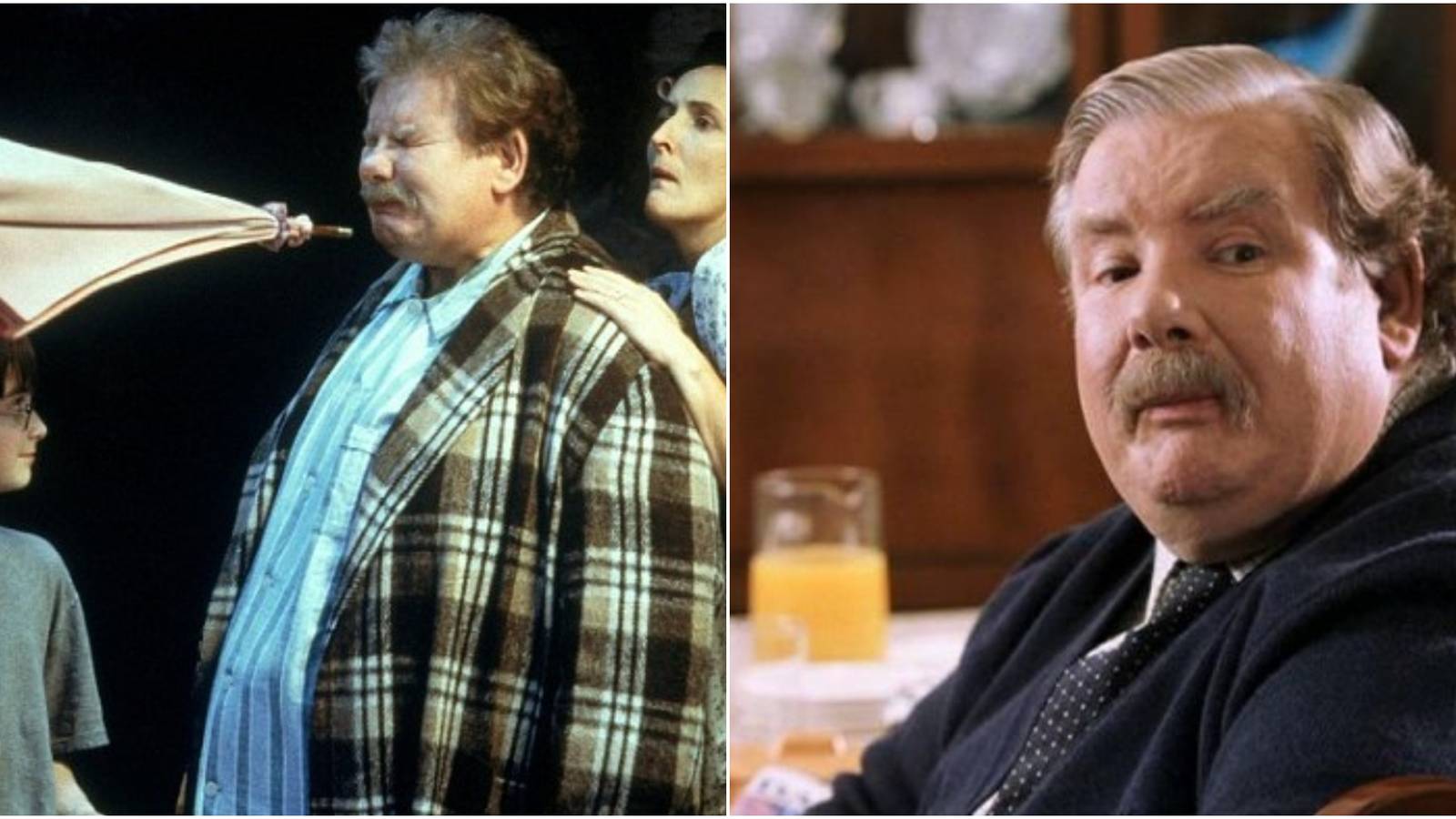 Split image of Harry Potter, Uncle Vernon and Aunt Petunia in Harry Potter and the Sorcerer's Stone.