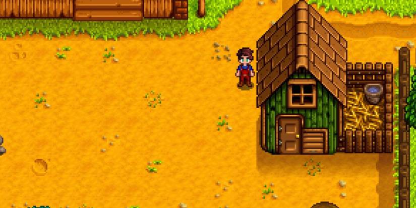 coop stardew valley (1)