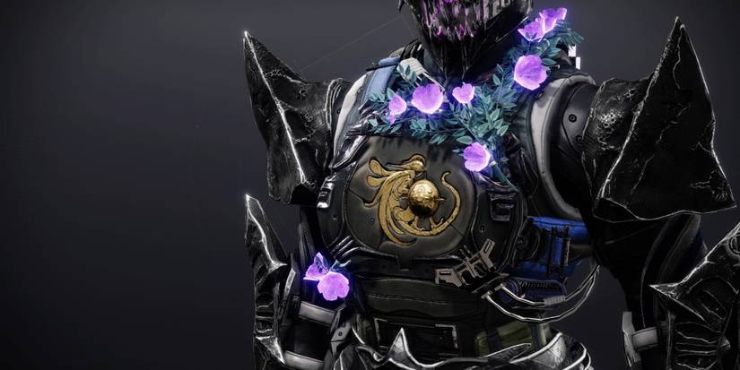 arbor warden titan exotic chest piece