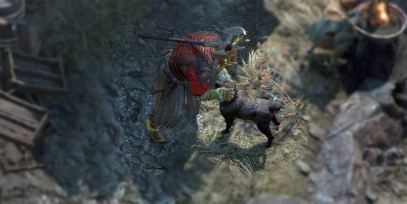 Diablo 4 Pet Dog Emote In Town