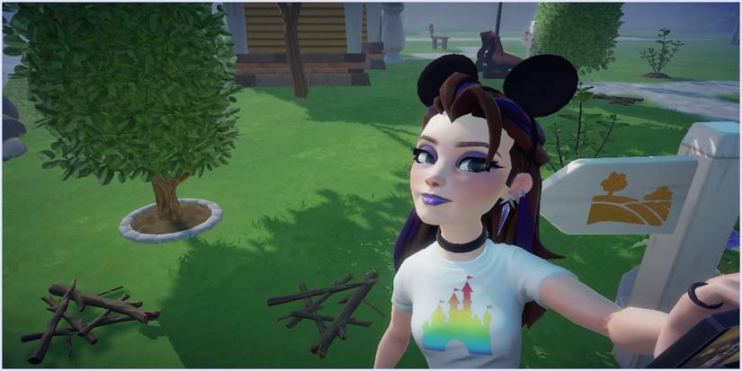 Disney-Dreamlight-Valley-softwood-1