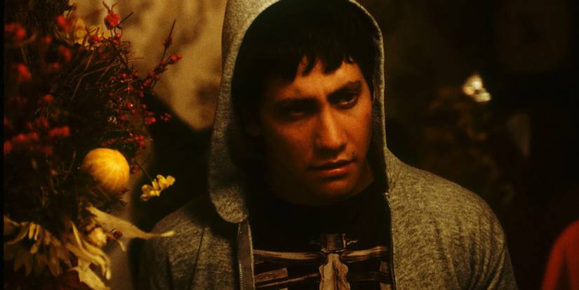 Jake Gyllenhaal as Donnie Darko