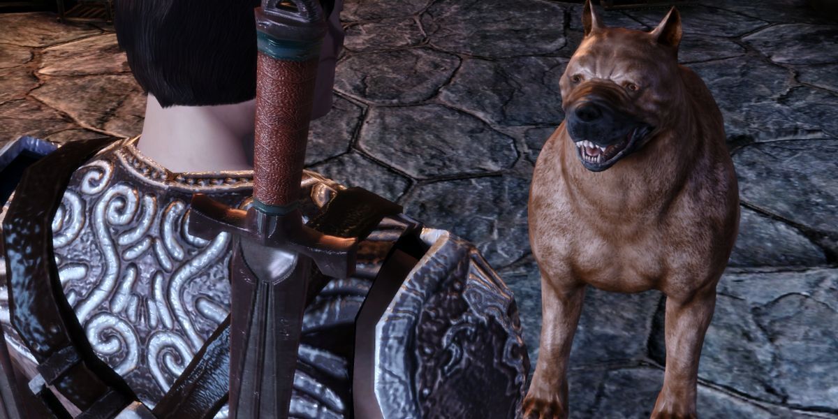 The Warden and mabari hound in the Cousland origin story in Dragon Age: Origins
