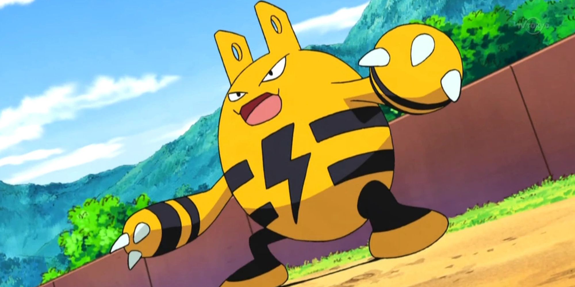 Elekid In The Pokemon Anime