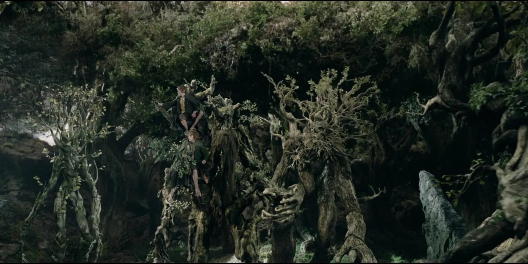 Ent-Moot in Lord of the Rings
