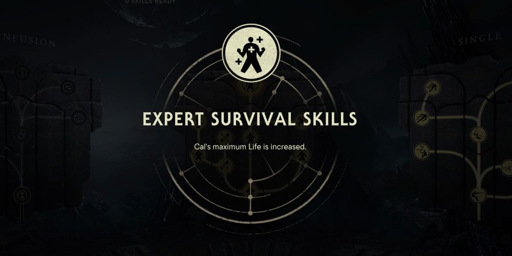 expert survival skill