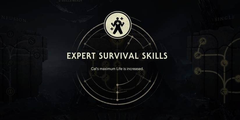 expert survival skill