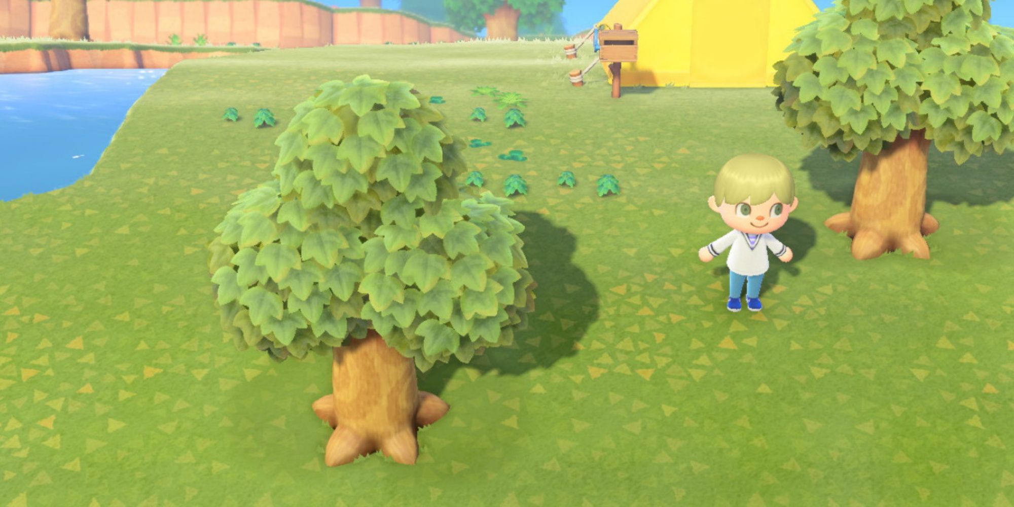 Exploring the island in Animal Crossing New Horizons