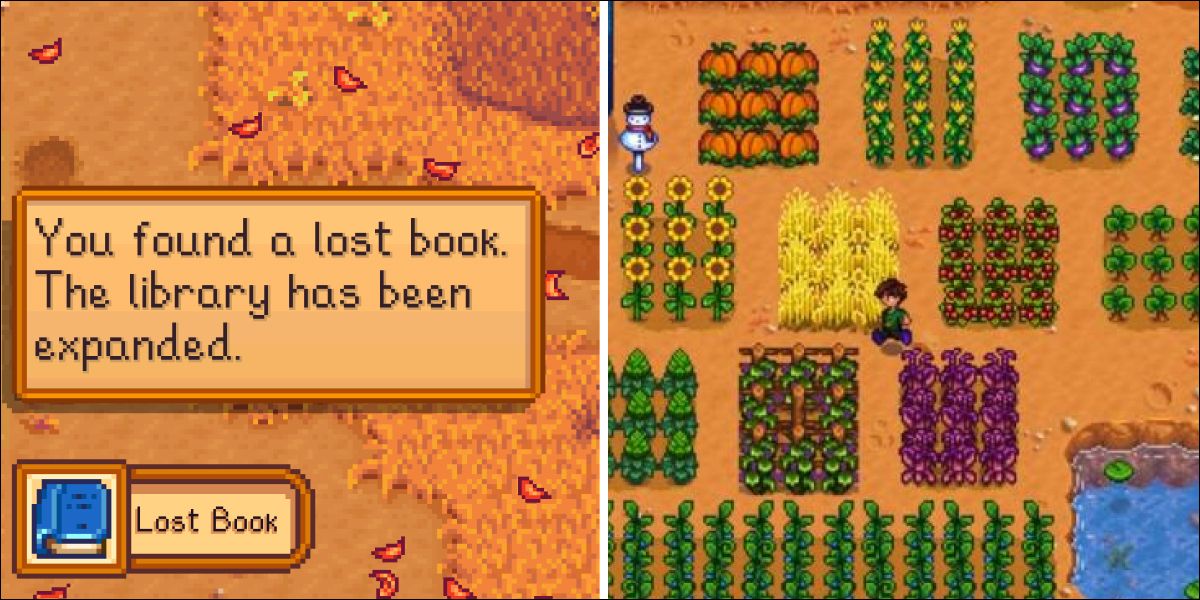 Lost Book and farming
