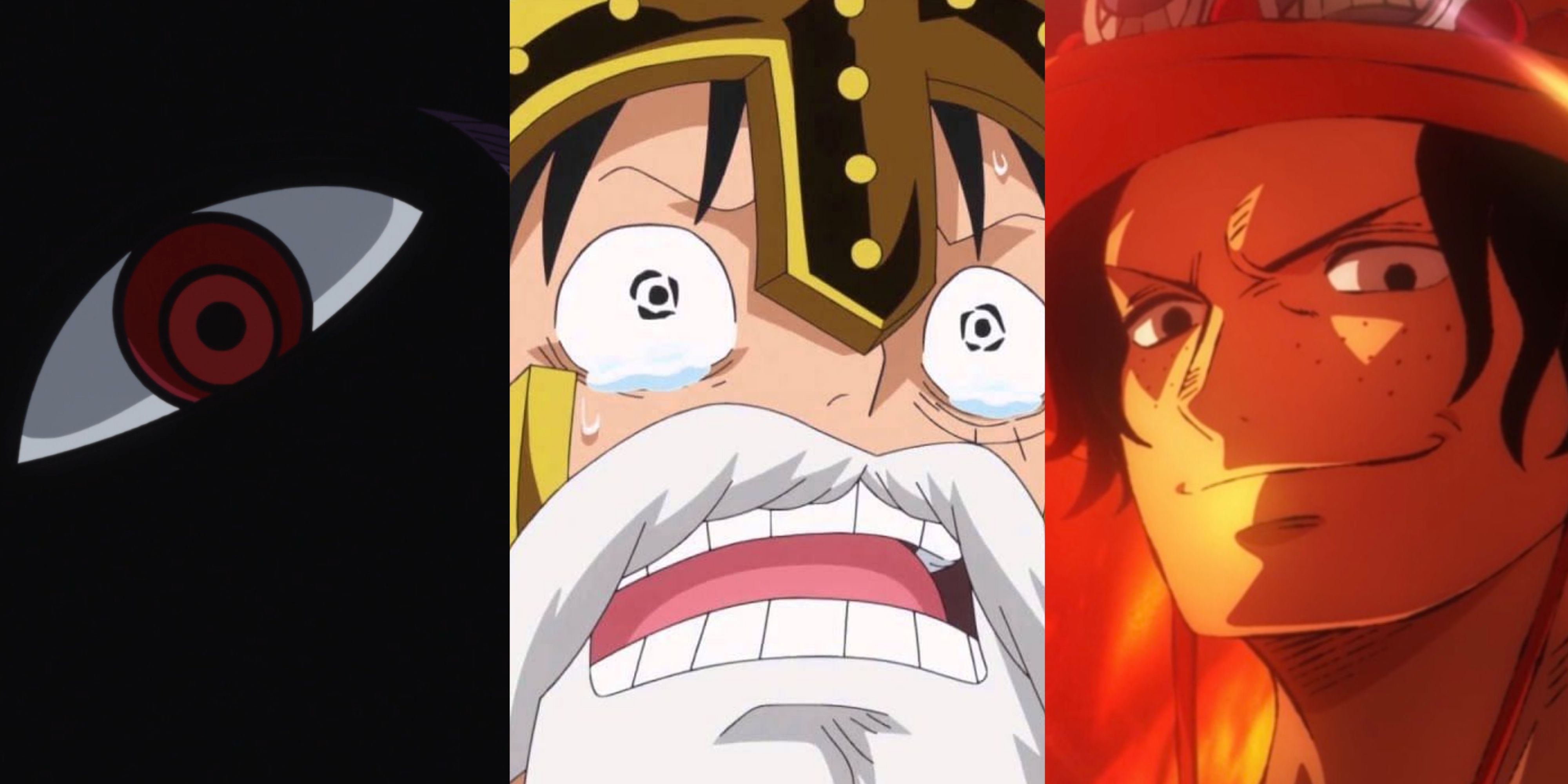 One Piece - Monkey D Dragon Shocking Past Revealed 