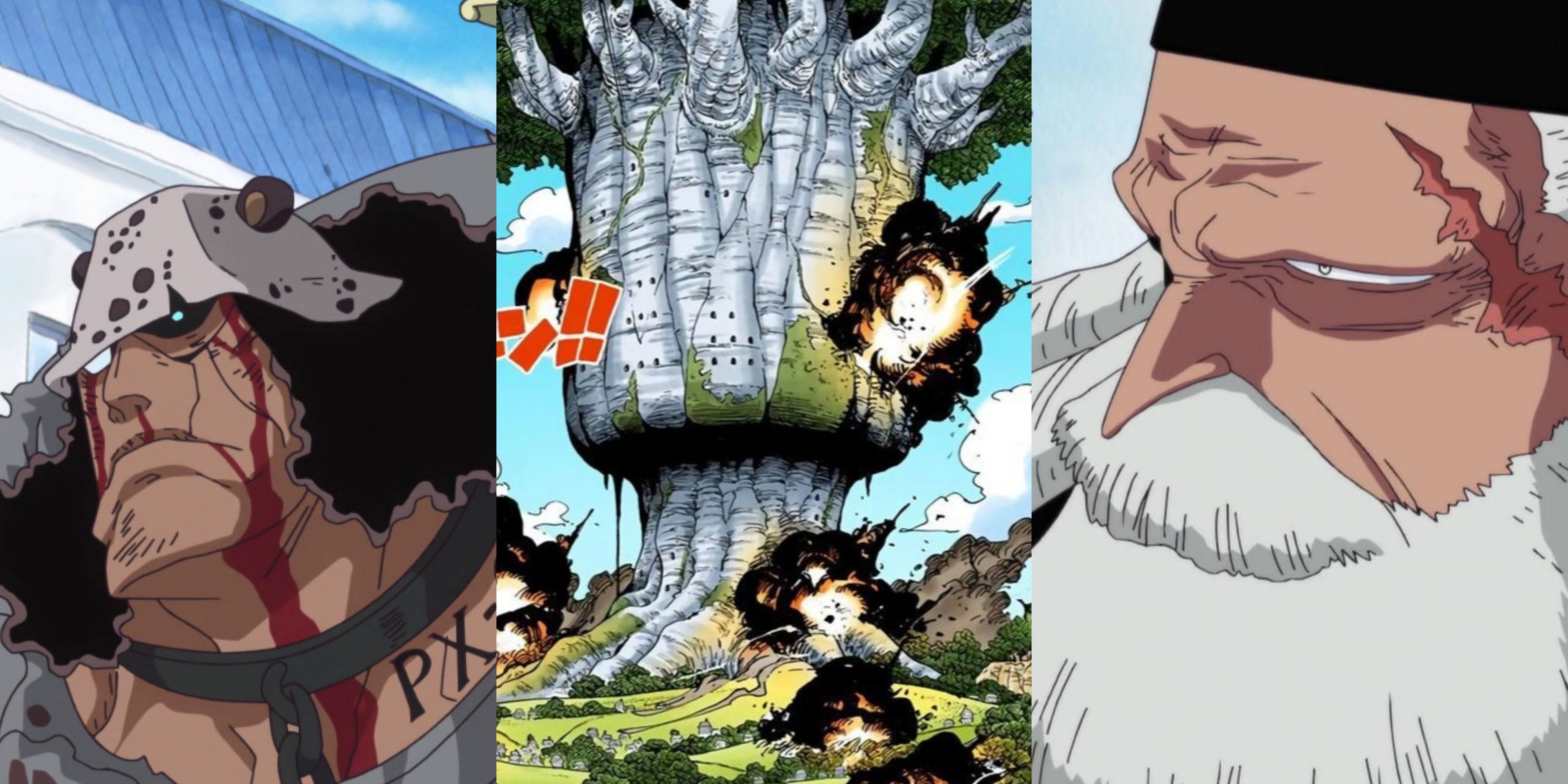 THE BIGGEST CRIME COMMITTED IN ONE PIECE