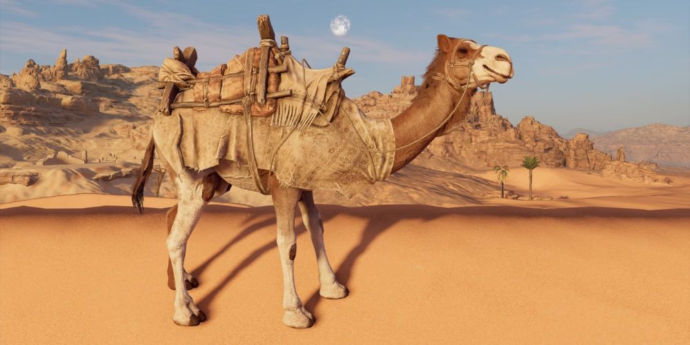 fidget the camel from assassin's creed origins