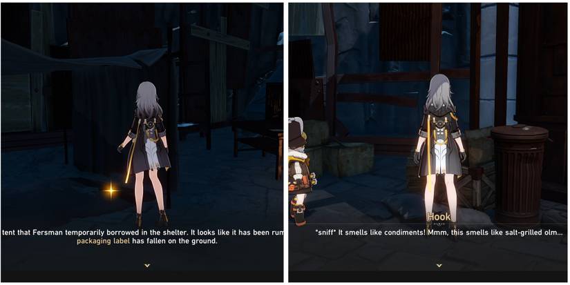 finding clues about the detector in honkai star rail