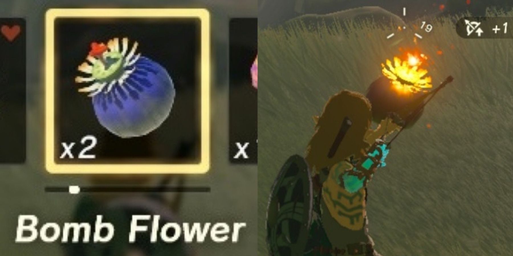 Zelda: Tears Of The Kingdom - How To Farm Bomb Flowers