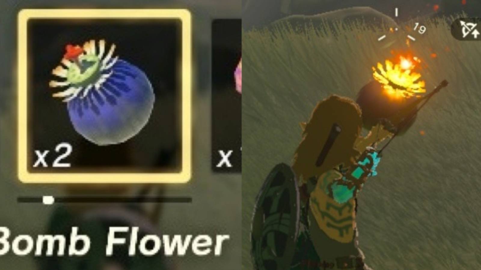 flower bomb legend of zelda tears of the kingdom