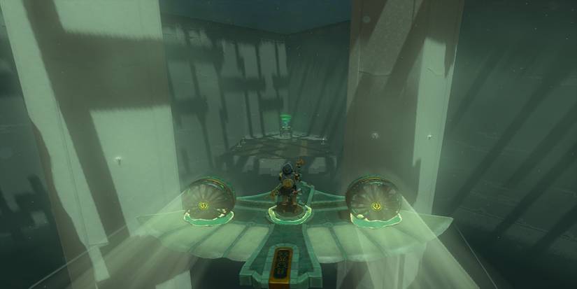 Flying a plane in The Legend of Zelda Tears of the Kingdom