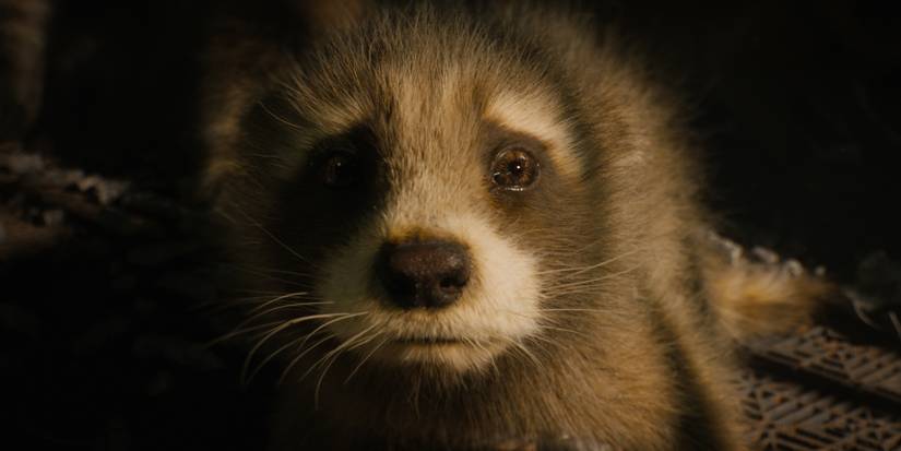 gotg 3 baby rocket Cropped