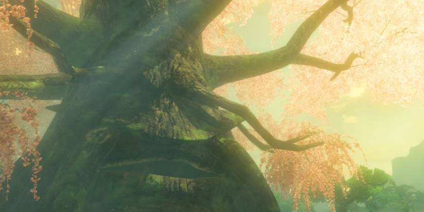 Great Deku Tree in Breath of the Wild-1