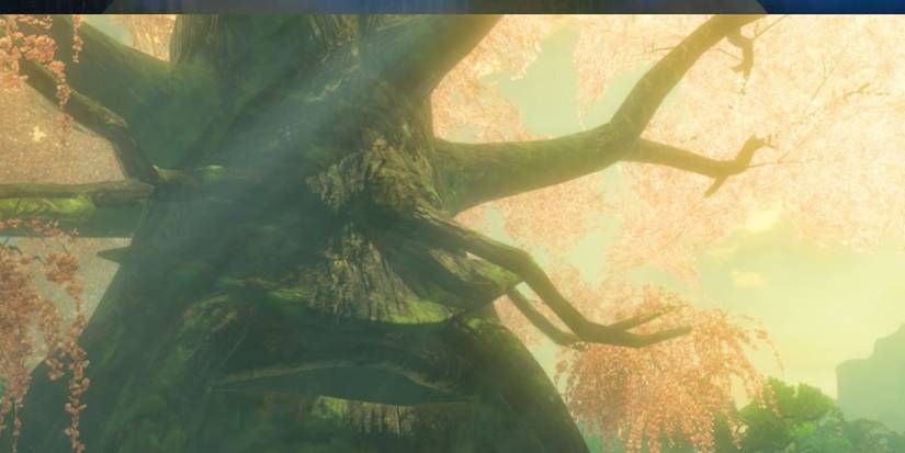 Great Deku Tree in Breath of the Wild