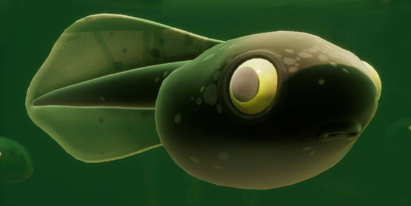 Grounded Tadpole Meat