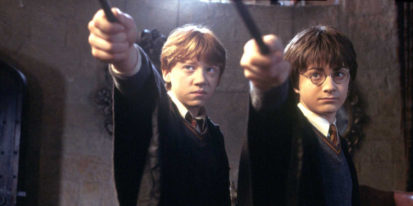 Harry Potter and Ron Weasley