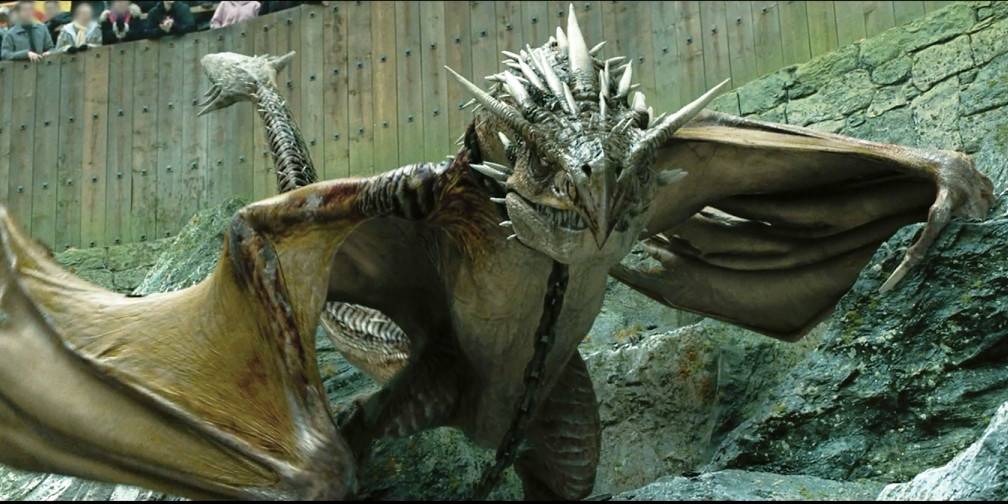 harry potter dragon