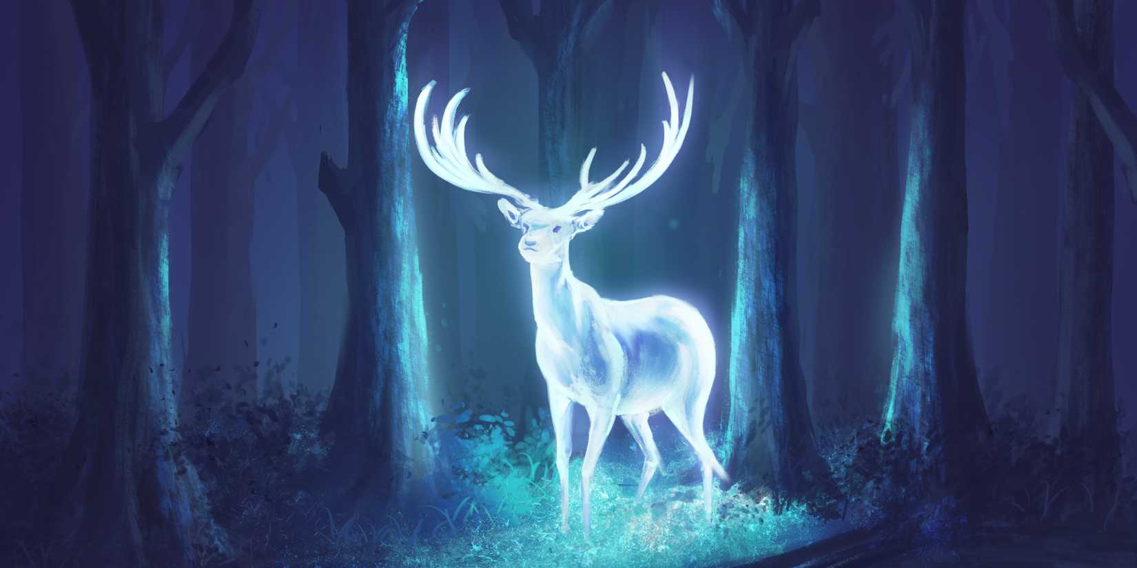 Most Powerful Spells Used By Harry Potter