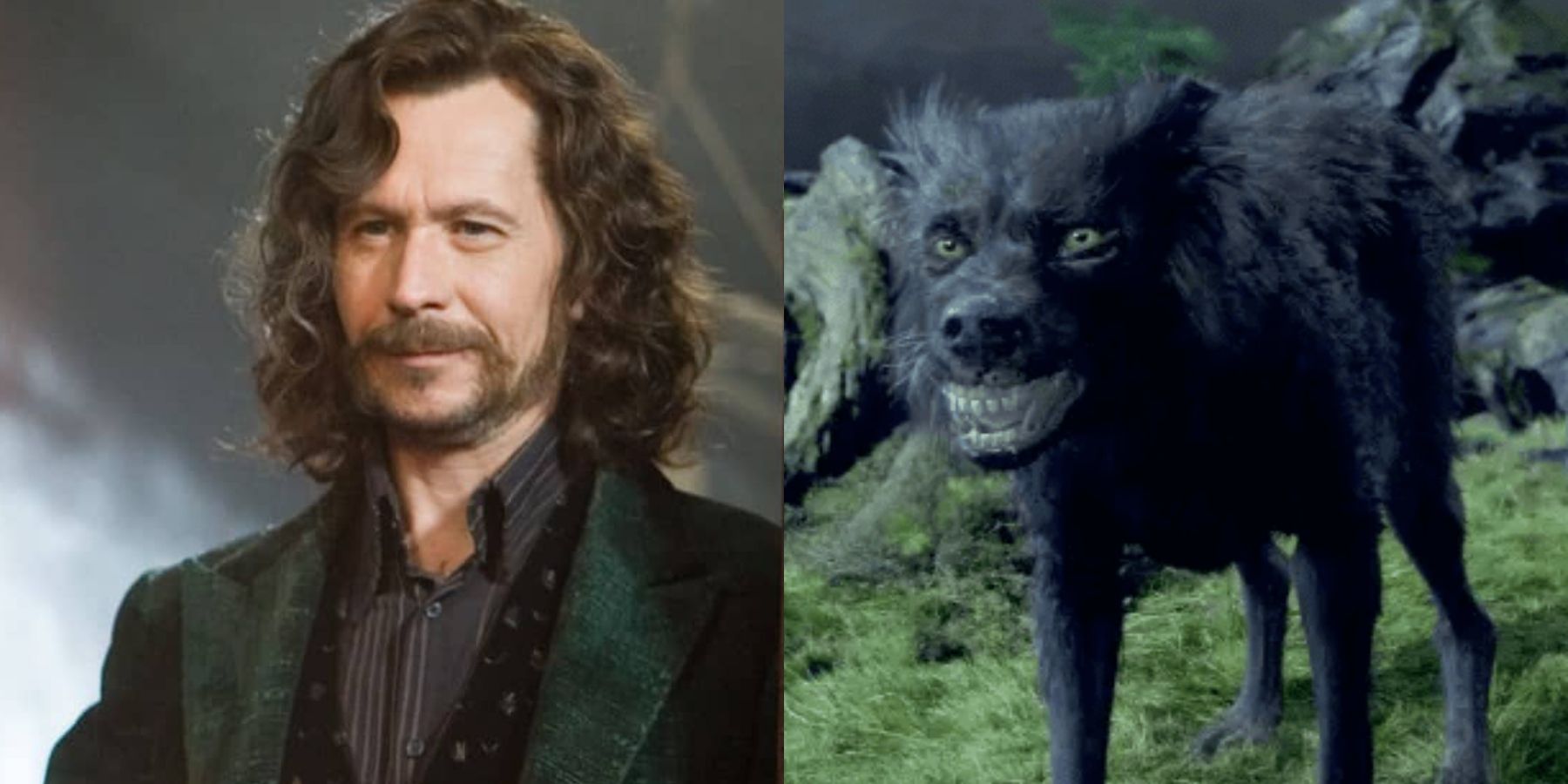 Pop! Movies: Harry Potter - Sirius Black (As Dog)