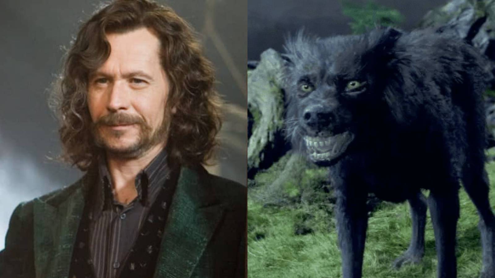 harry potter sirius black