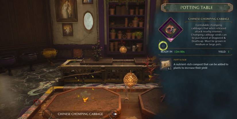 hogwarts legacy chinese chomping cabbage