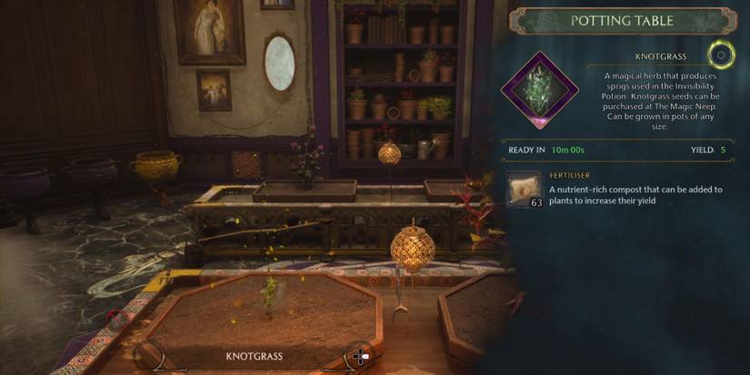 hogwarts legacy knotgrass