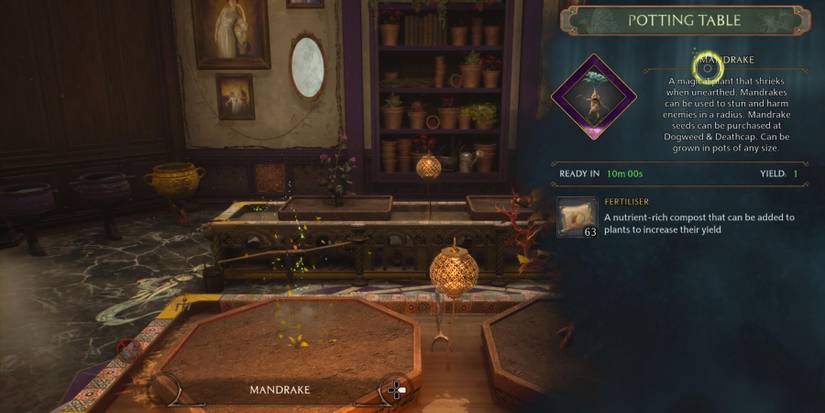 hogwarts legacy mandrake